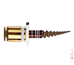 Protaper Gold® S2|21mm (6)