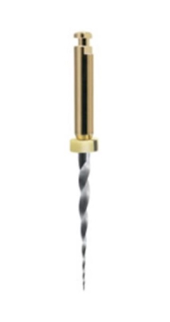 ProTaper Next™ XA|19mm (3)