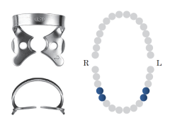 Winged Pre-Molar Clamp 2 Black
