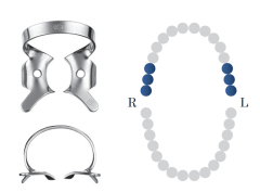 Rubber Dam Clamp SS #08
