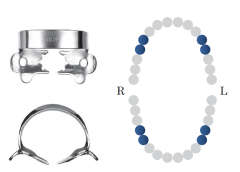 Winged Pre-Molar Clamp 1AT Black