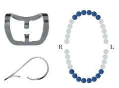 Rubber Dam Clamp SS #212