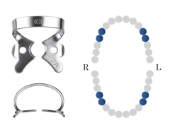 Winged Pre-Molar Clamp 2A Black