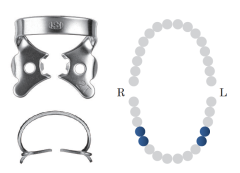 Winged Pre-Molar Clamp 2T Black