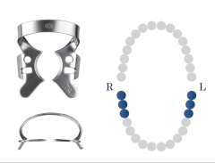 Winged Molar Clamp 7A Black