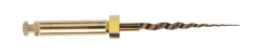 Protaper Gold® SX|19mm (6)