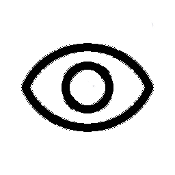 eye to show password